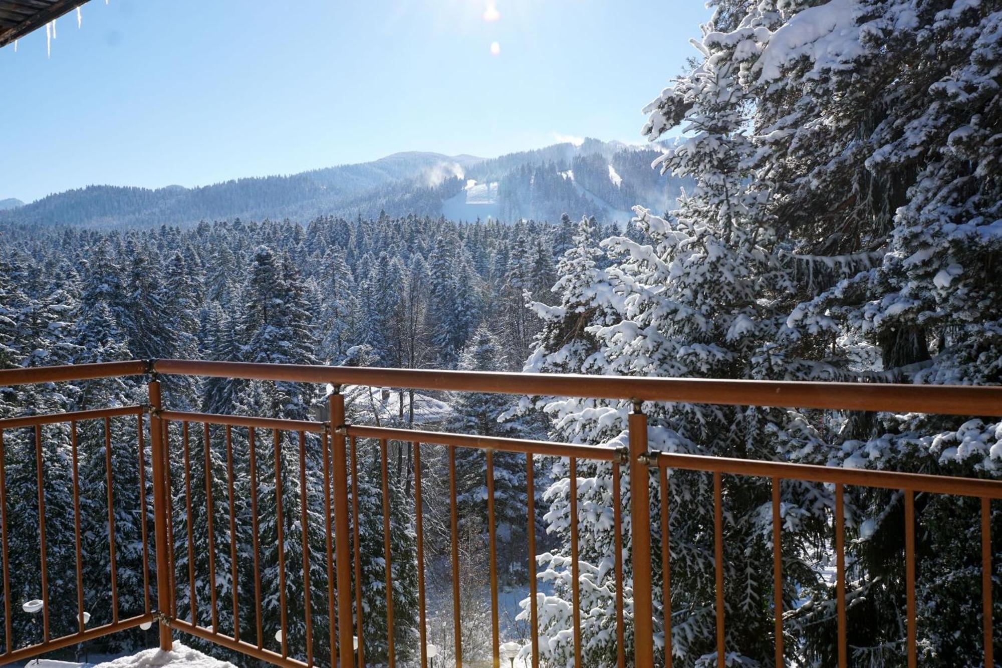 Hotel Bor Borovets Luaran gambar